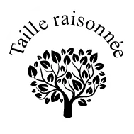 sylvatech-elagage-bassin-arcachon-taille-raisonnee-189x189